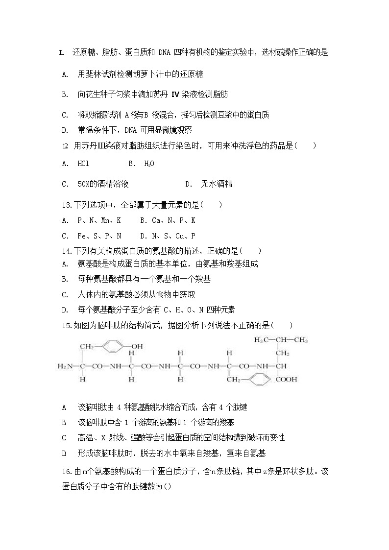 2021包头一中高一第一学期月考生物试卷含答案第3页