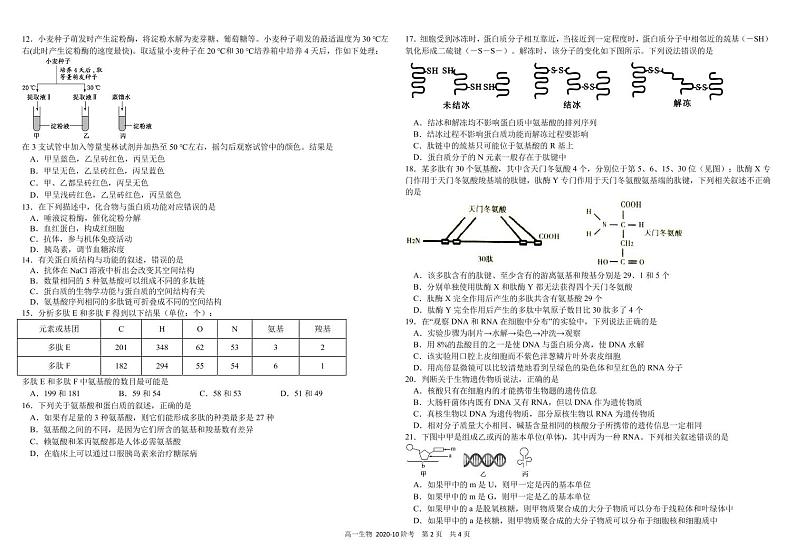 2021四川省树德中学高一上学期10月阶段性测生物PDF版含答案（可编辑）第2页