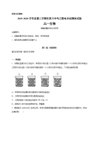 2020内蒙古北京八中乌兰察布分校高一下学期期末考试生物试卷含答案