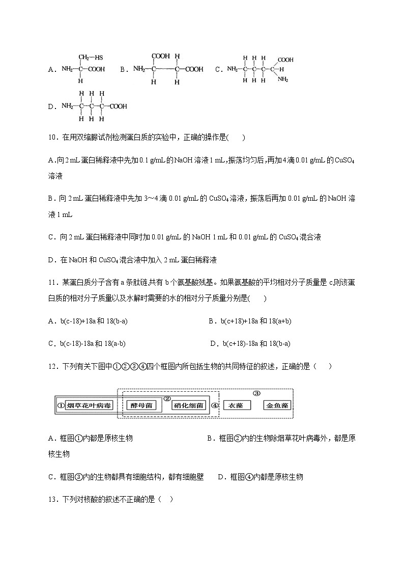 2021泸县五中高一上学期第一次月考生物试题含答案03