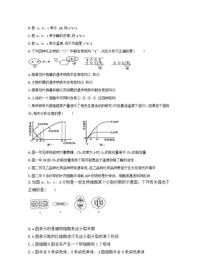 2020拉萨二中高一下学期期末测试生物试题含答案第2页