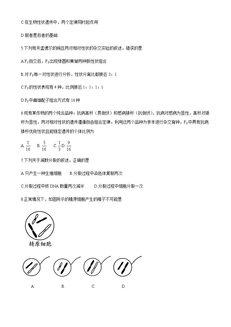 2020潍坊诸城高一下学期期中考试生物试题含答案第2页
