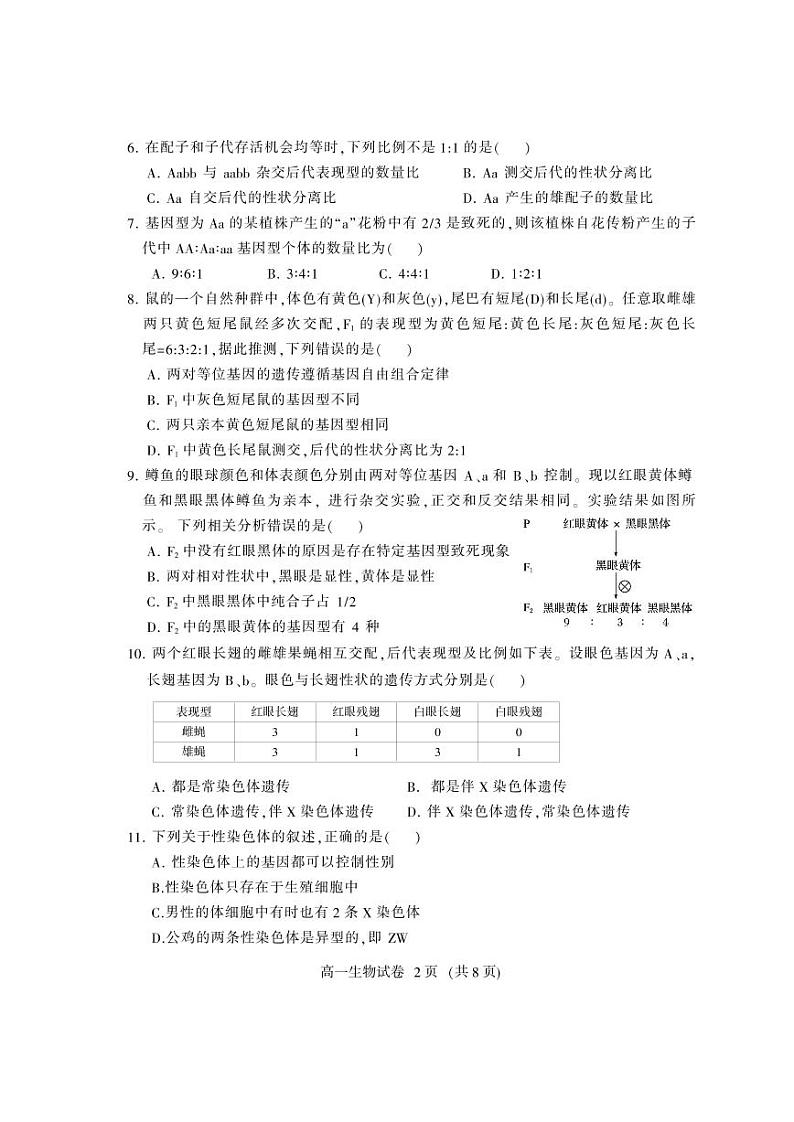 2020凉山州高一下学期期末考试生物试题PDF版含答案第2页