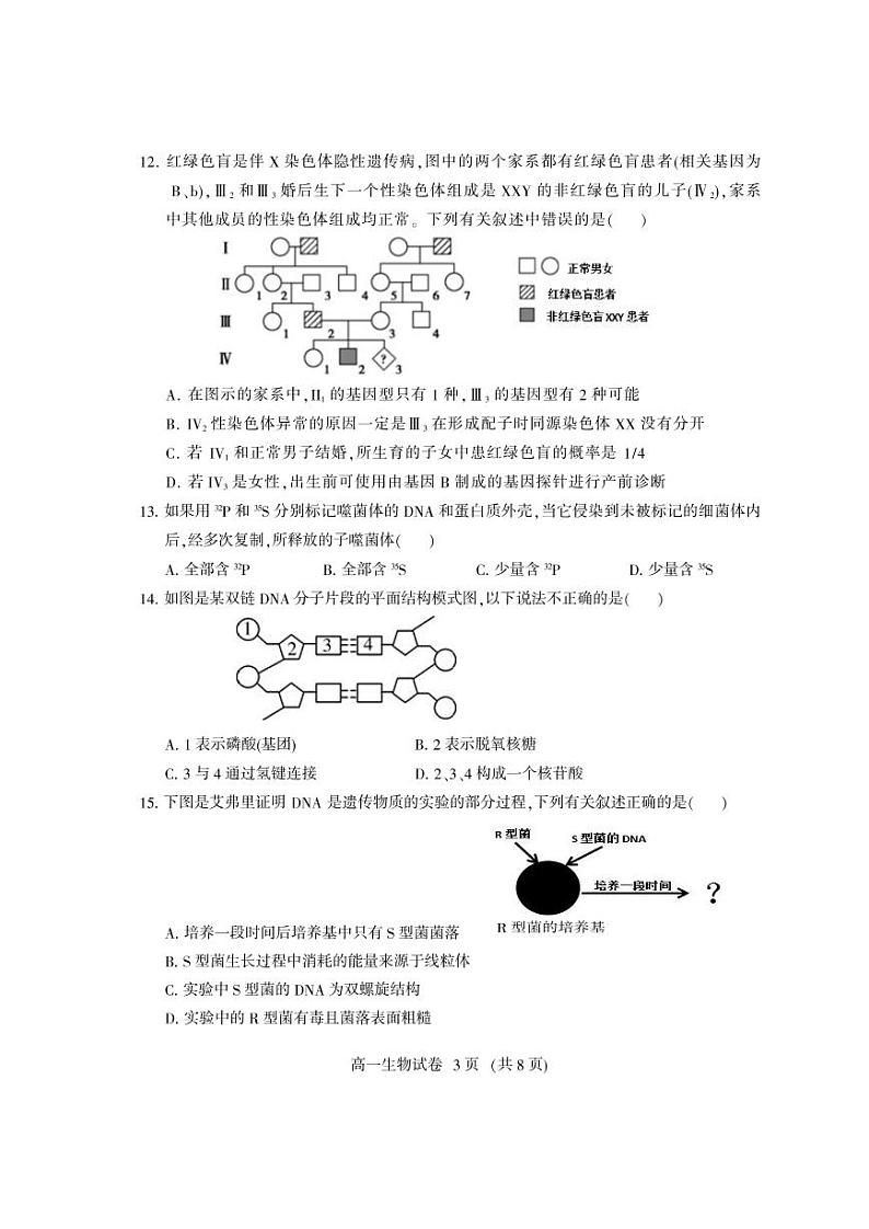 2020凉山州高一下学期期末考试生物试题PDF版含答案第3页