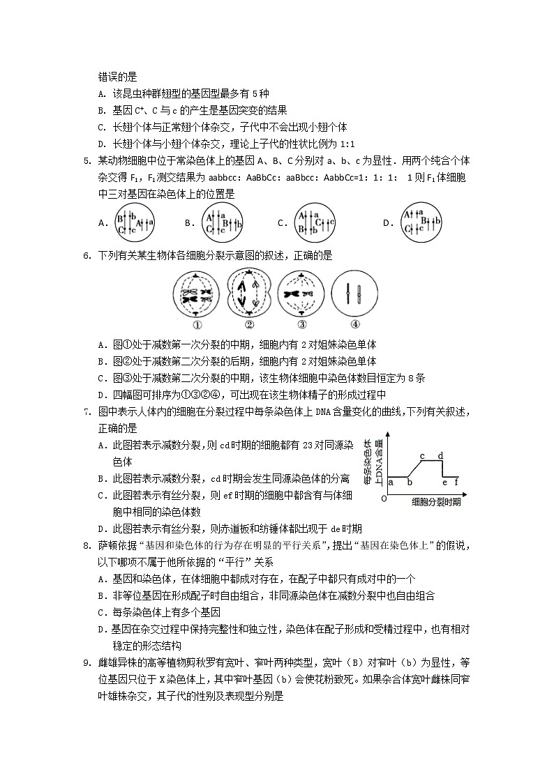 2020临沂罗庄区高一下学期期末考试生物试题含答案02