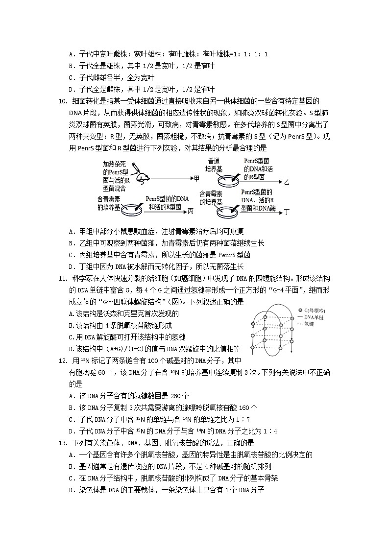 2020临沂罗庄区高一下学期期末考试生物试题含答案03