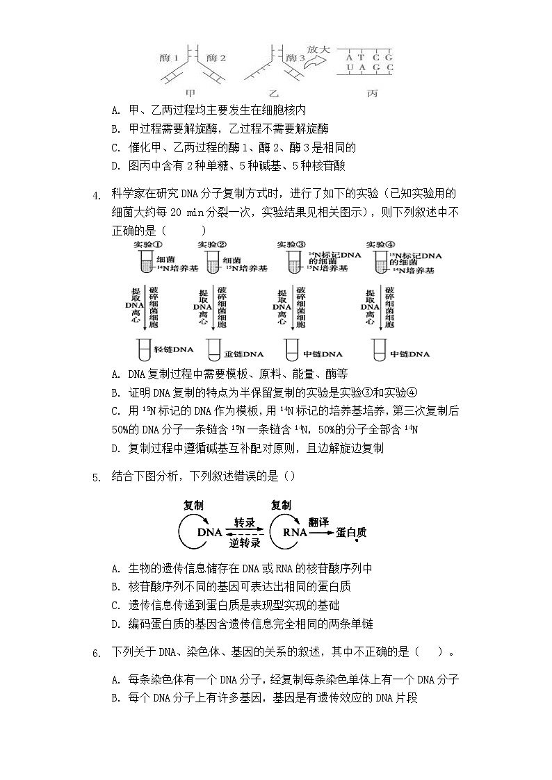 2020海南省海南枫叶国际学校高一下学期期末考试生物试题含答案第2页
