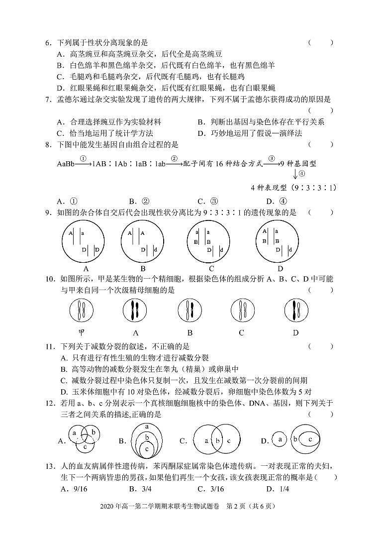 湖南省张家界市2019-2020学年高一下学期期末考试生物试题第2页
