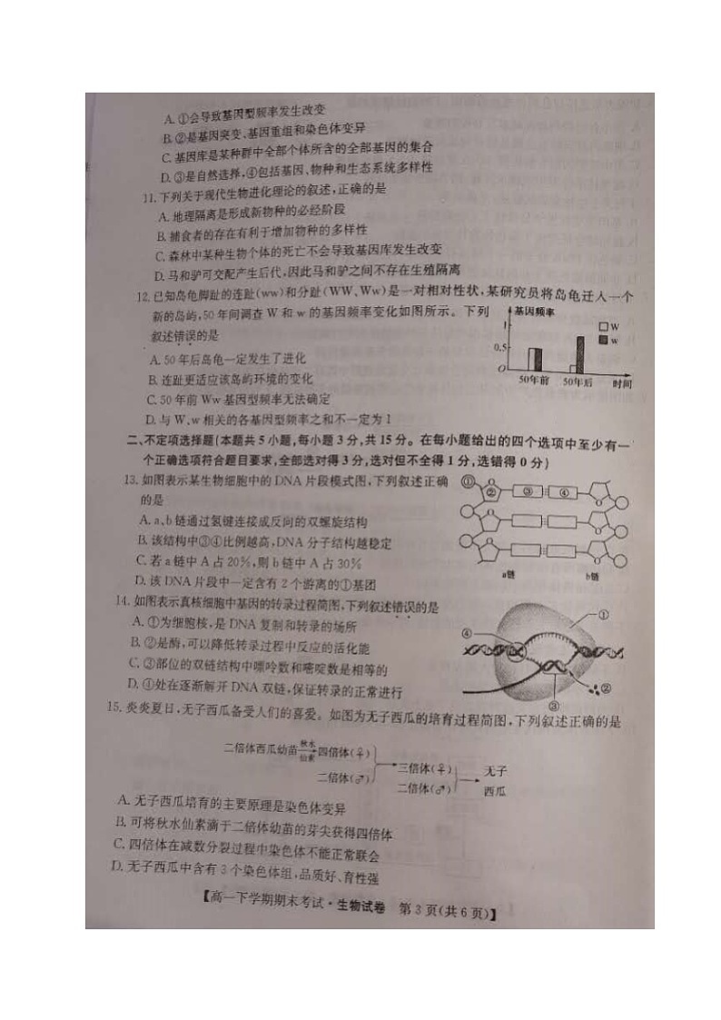 2020盘锦辽河油田三中高一下学期期末考试生物试题扫描版含答案第3页