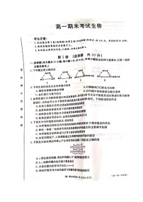 2020黔南州―度高一下学期期末考试生物试题扫描版含答案