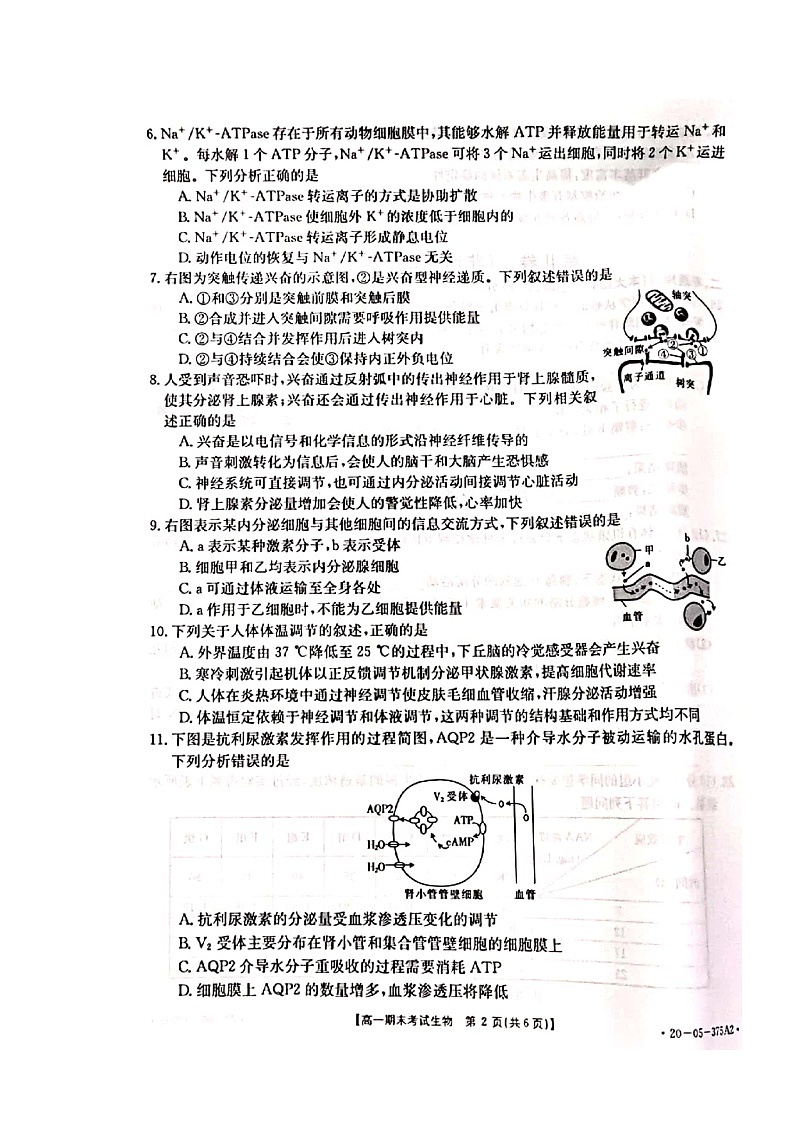 2020黔南州―度高一下学期期末考试生物试题扫描版含答案第2页