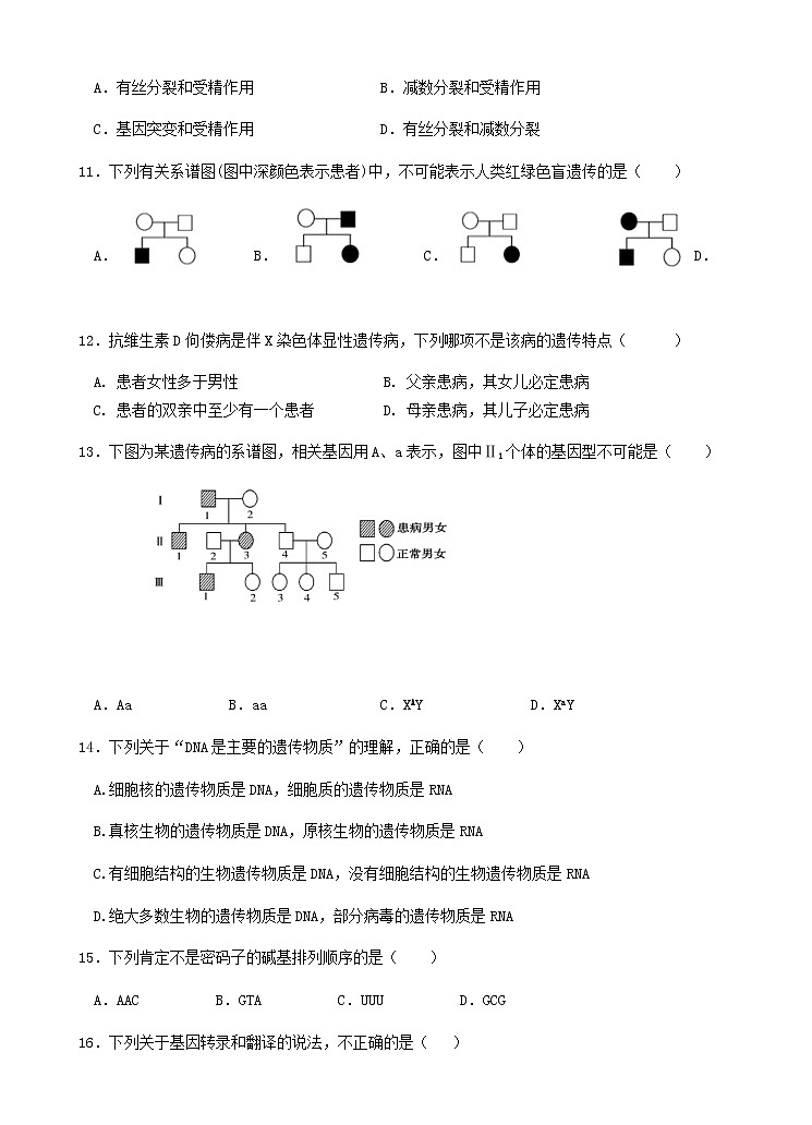 江苏省口岸中学2020年春学期高一年级期末调研测试 生物卷第3页