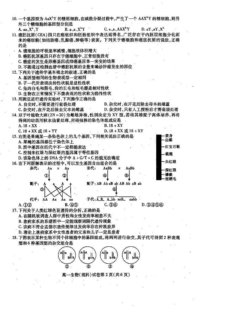四川省内江市2019-2020学年高一下学期期末检测生物（理）试题第2页