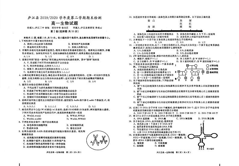 2020合肥庐江县高一下学期期末考试生物试题扫描版含答案01