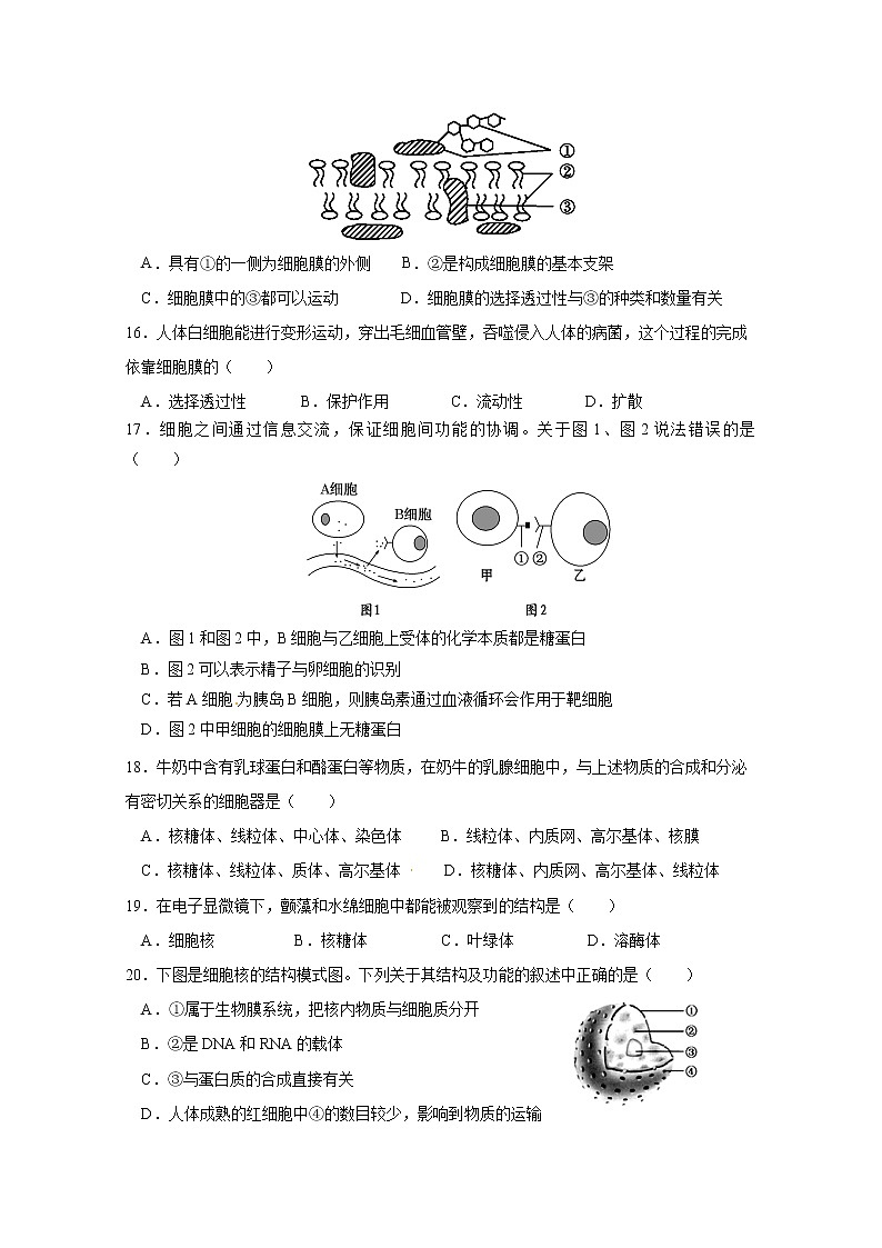 2020江门二中高一上学期第二次考试（期中）生物试题含答案第3页