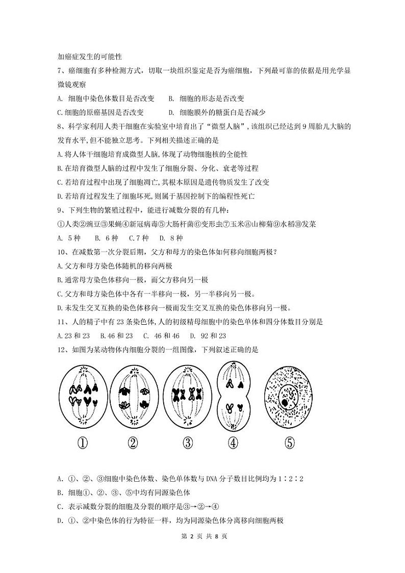 2020汕头金山中学高一下学期期中考试生物含答案02