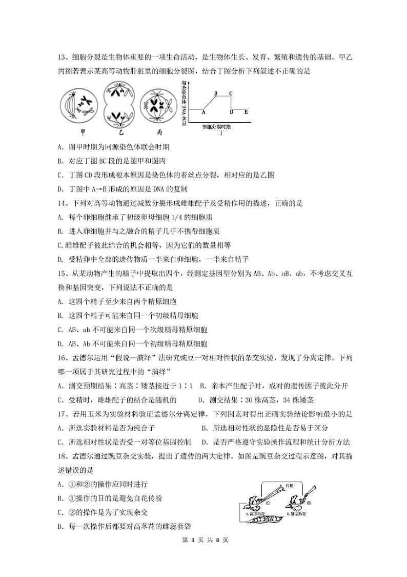 2020汕头金山中学高一下学期期中考试生物含答案03