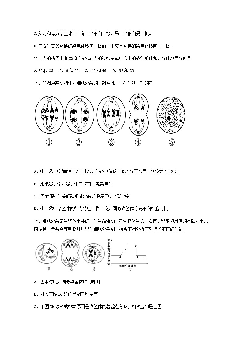 2020汕头金山中学高一下学期期中考试生物含答案03