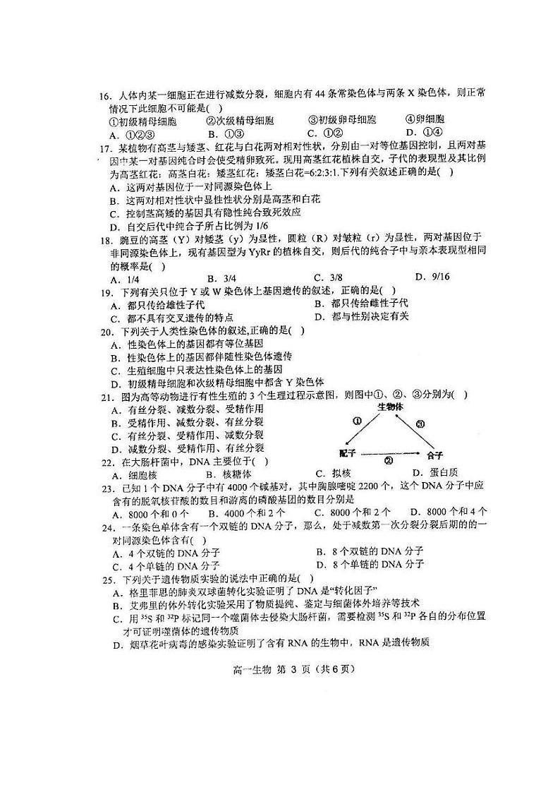 2020宿州十三所省重点中学高一下学期期末联考生物试题图片版含答案03
