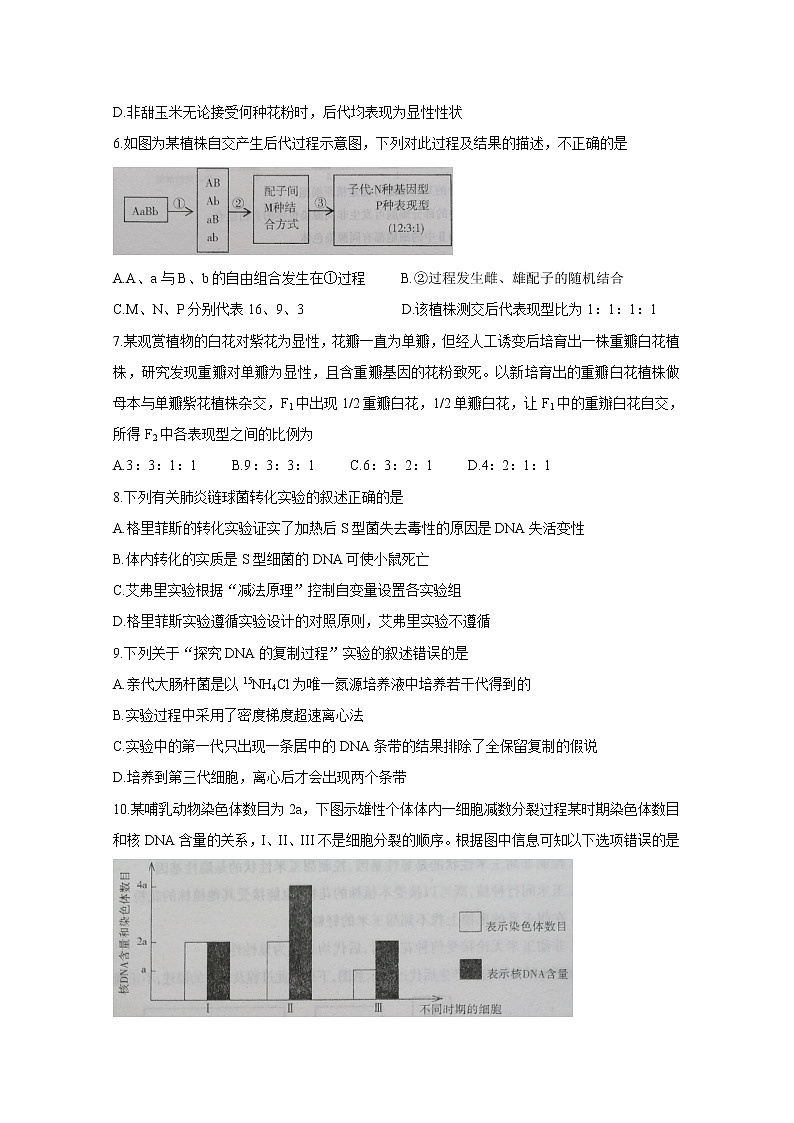 2020烟台高一下学期期中考试　生物（等级考）含答案02
