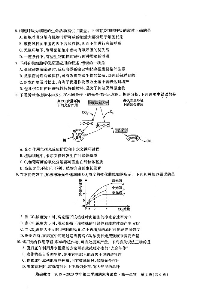 2019-2020安徽省池州市第二学期期末考试高一生物试题第2页