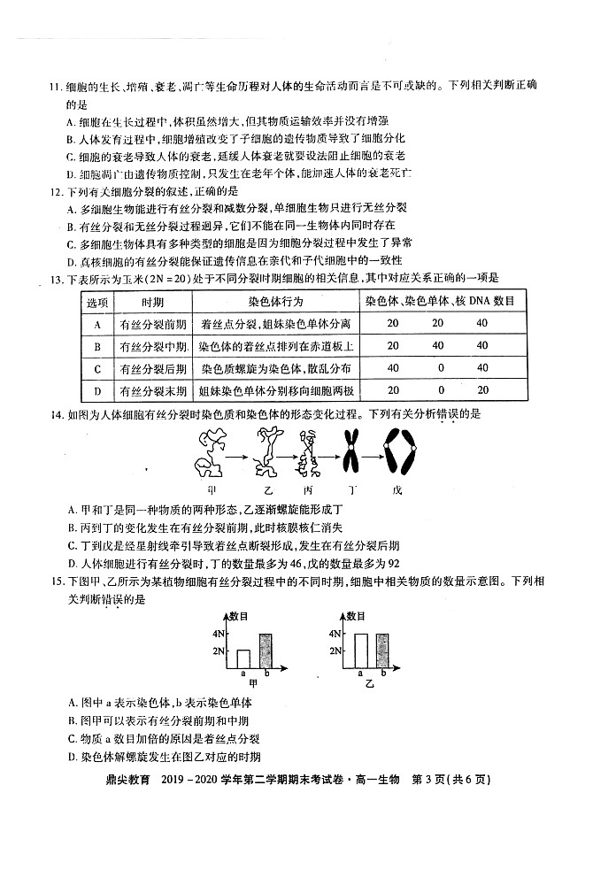 2019-2020安徽省池州市第二学期期末考试高一生物试题第3页