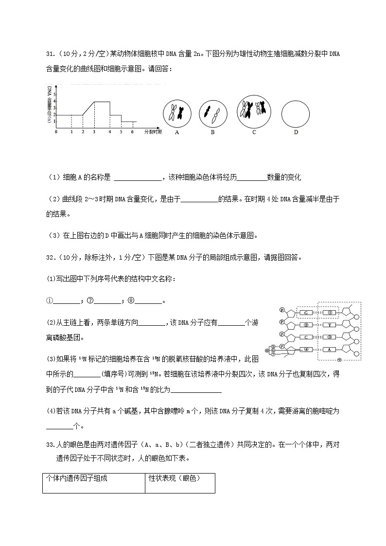 2020四川省仁寿一中北校区高一下学期期末模拟理综-生物试题含答案第3页