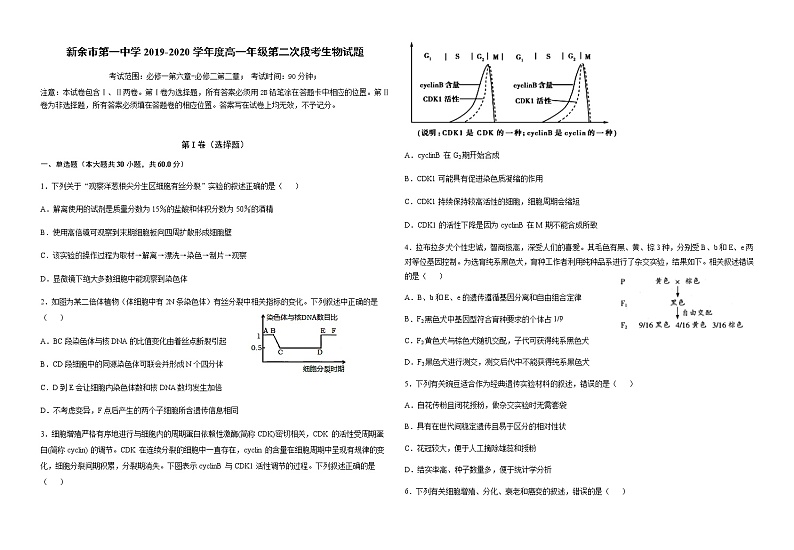 2020新余一中高一下学期第二次月考生物试题含答案第1页