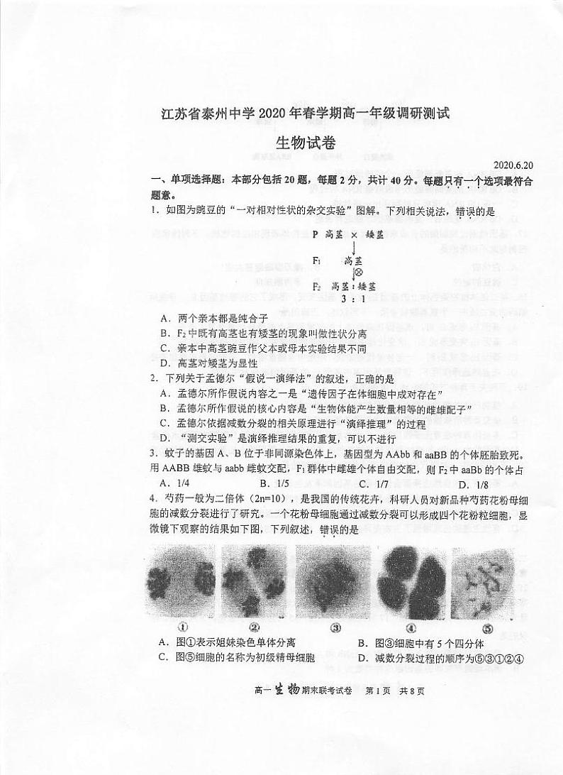 2020泰州中学高一6月调研测试生物试题扫描版含答案第1页
