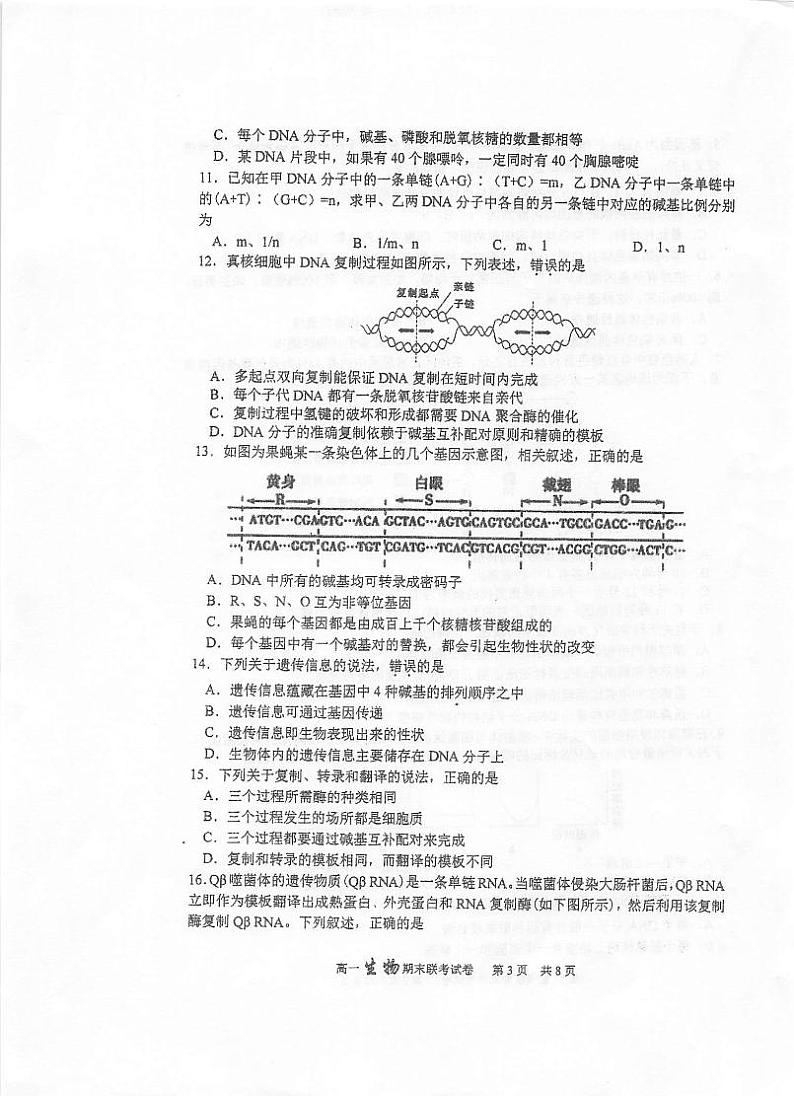 2020泰州中学高一6月调研测试生物试题扫描版含答案第3页
