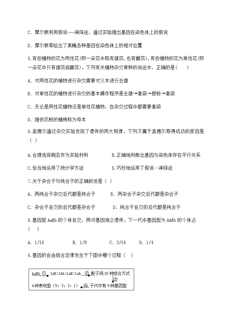 2020济宁嘉祥一中高一6月月考生物试题含答案第2页