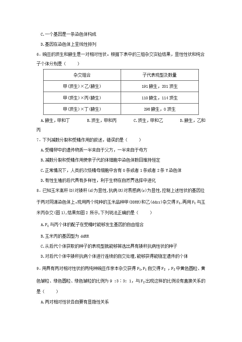 2020遵义南白中学高一下学期第二次月考生物试题含答案第2页