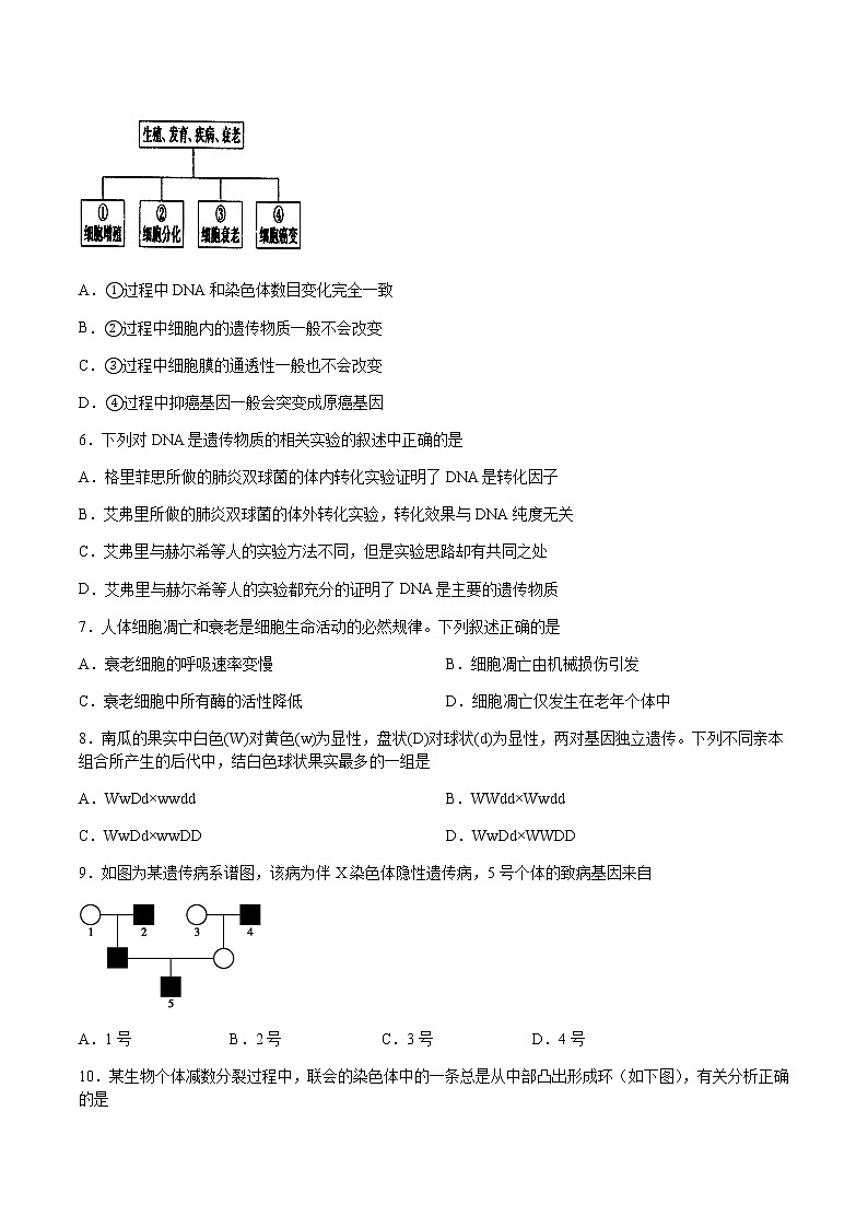 2020泸县一中高一下学期第四学月考试生物试题含答案第2页