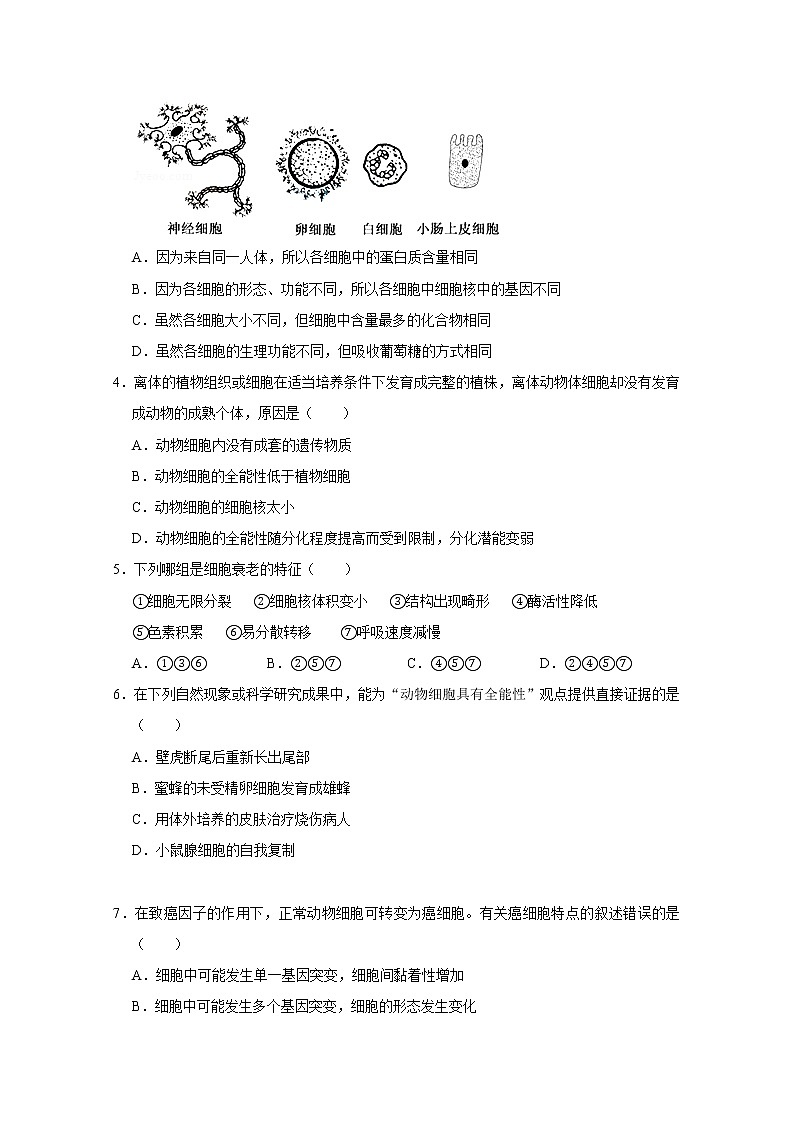 2020省大庆四中高一下学期第一次月考生物试题含答案02