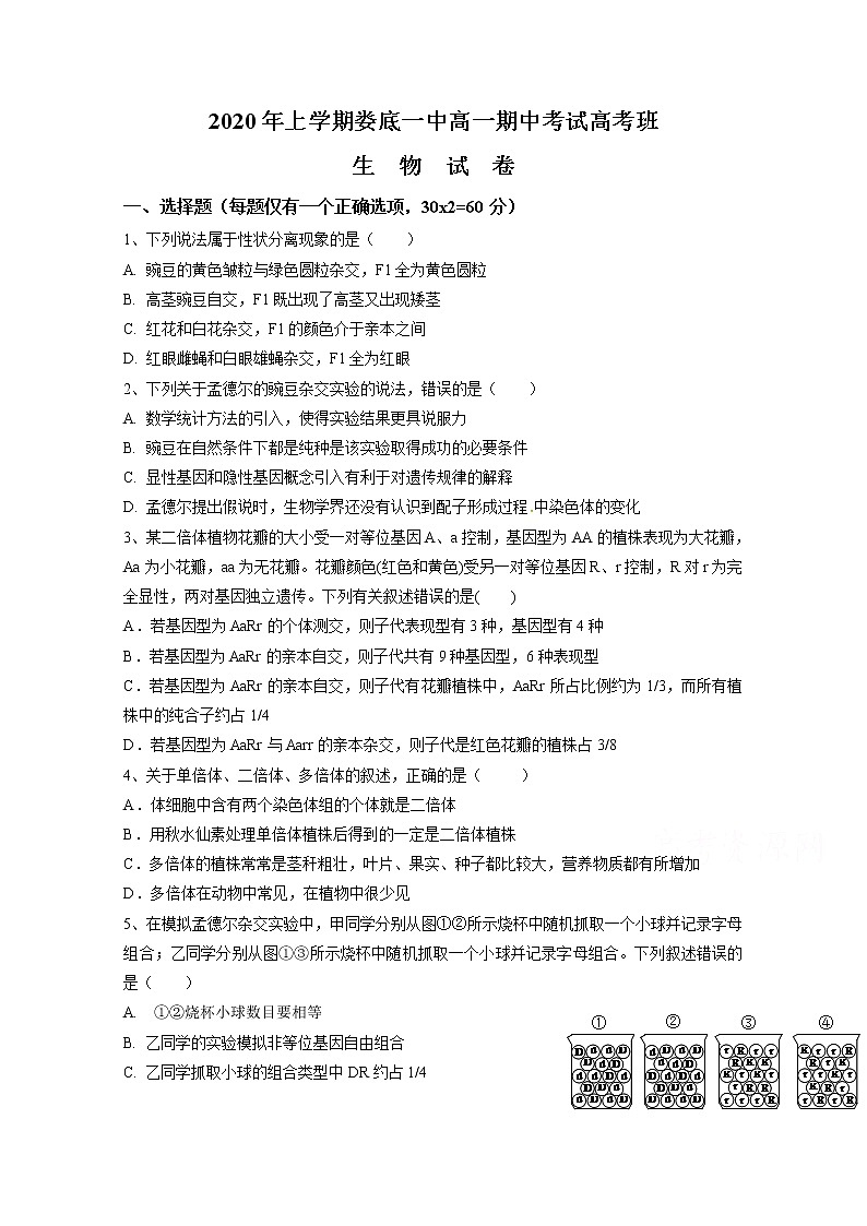 2020娄底一中高一下学期期中考试生物试题含答案第1页