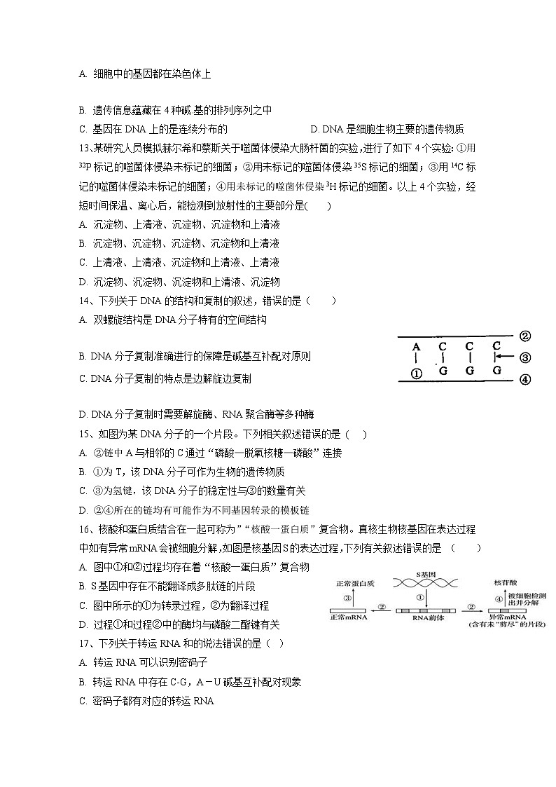 2020娄底一中高一下学期期中考试生物试题含答案第3页
