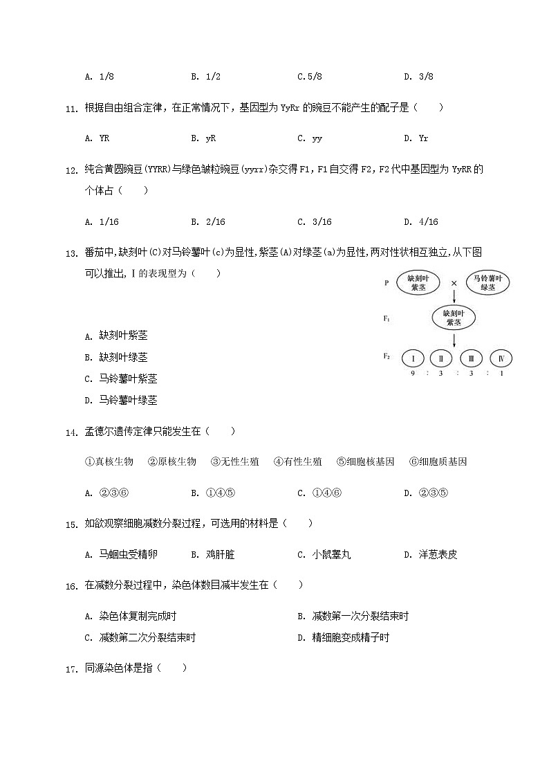 2020辽宁省辽河油田二中高一下学期期中考试生物试题含答案03
