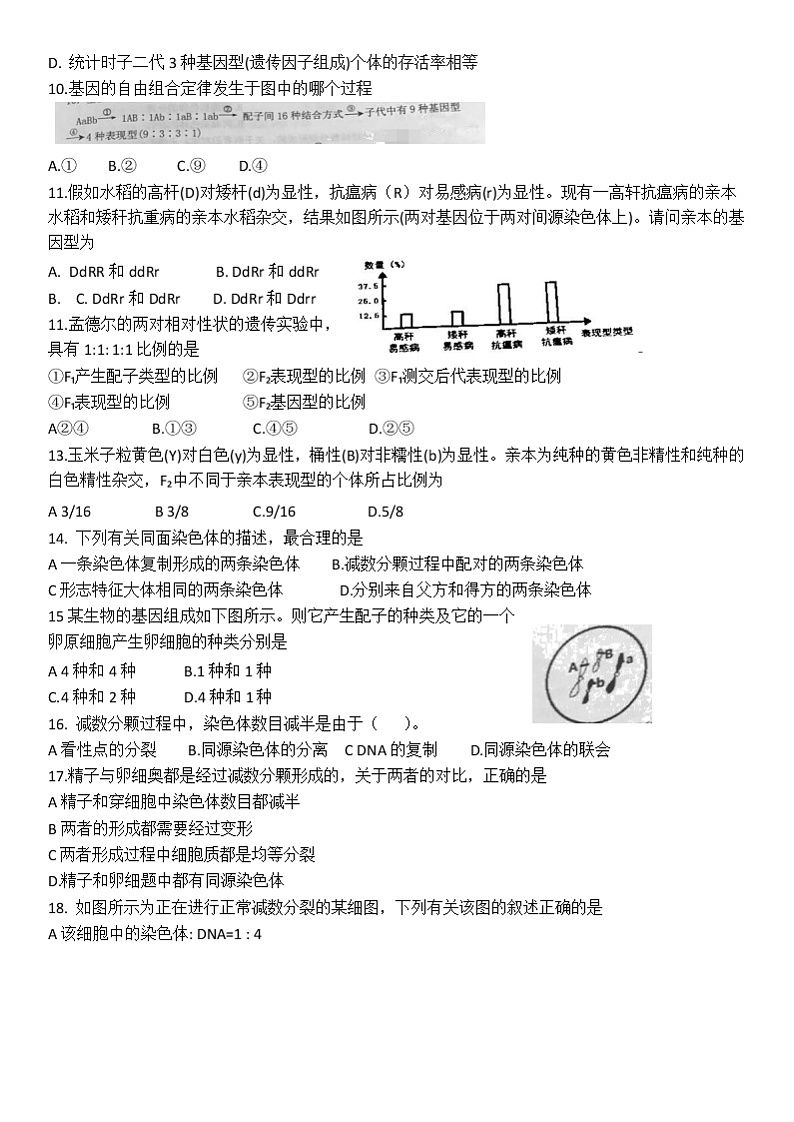 2019~2020第二学期期中考试-高一生物第2页