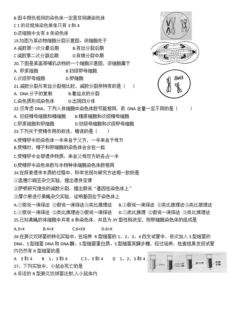 2019~2020第二学期期中考试-高一生物第3页