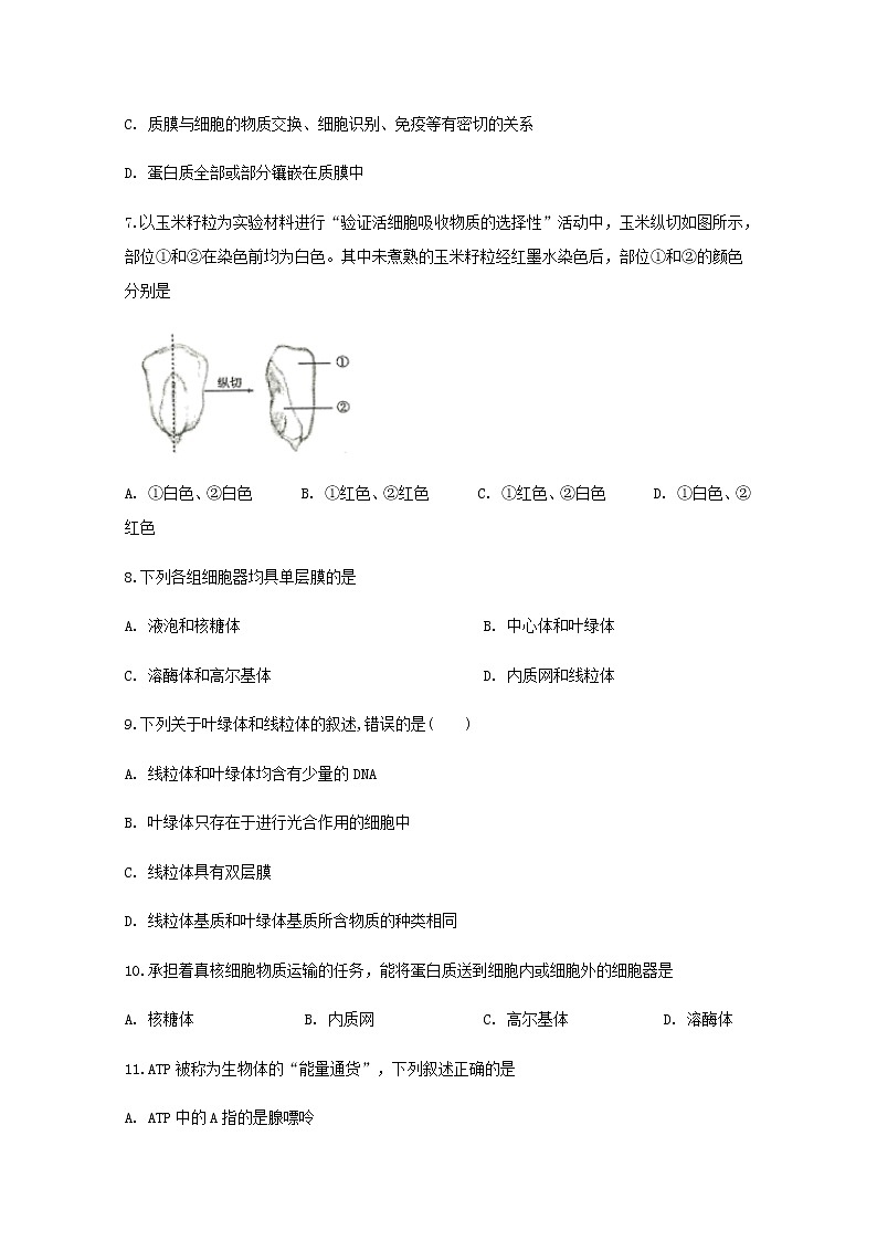 2020宁波咸祥中学高一下学期期中考试生物试题含答案第2页