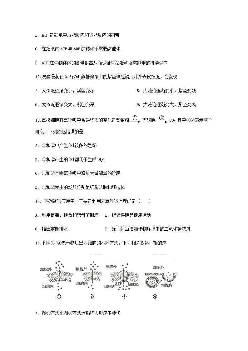 2020宁波咸祥中学高一下学期期中考试生物试题含答案第3页