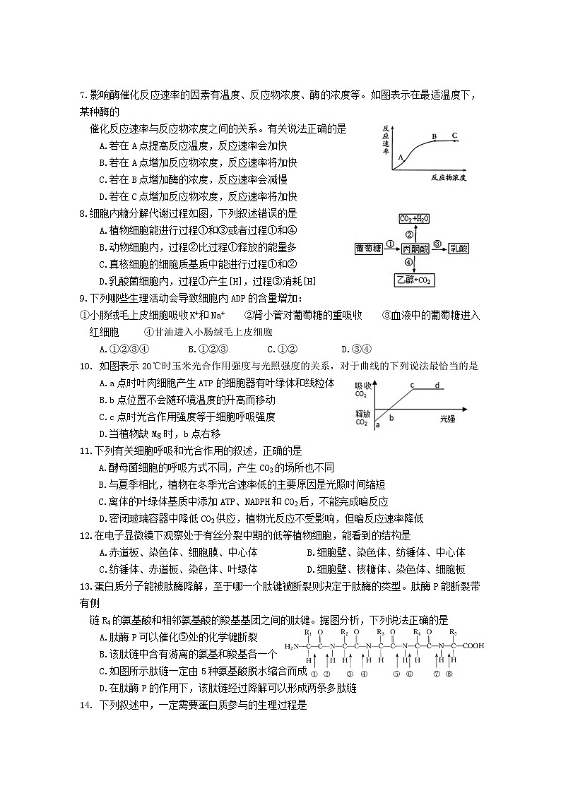 2020铁岭调兵山一中高一下学期第一次月考生物试题含答案第2页