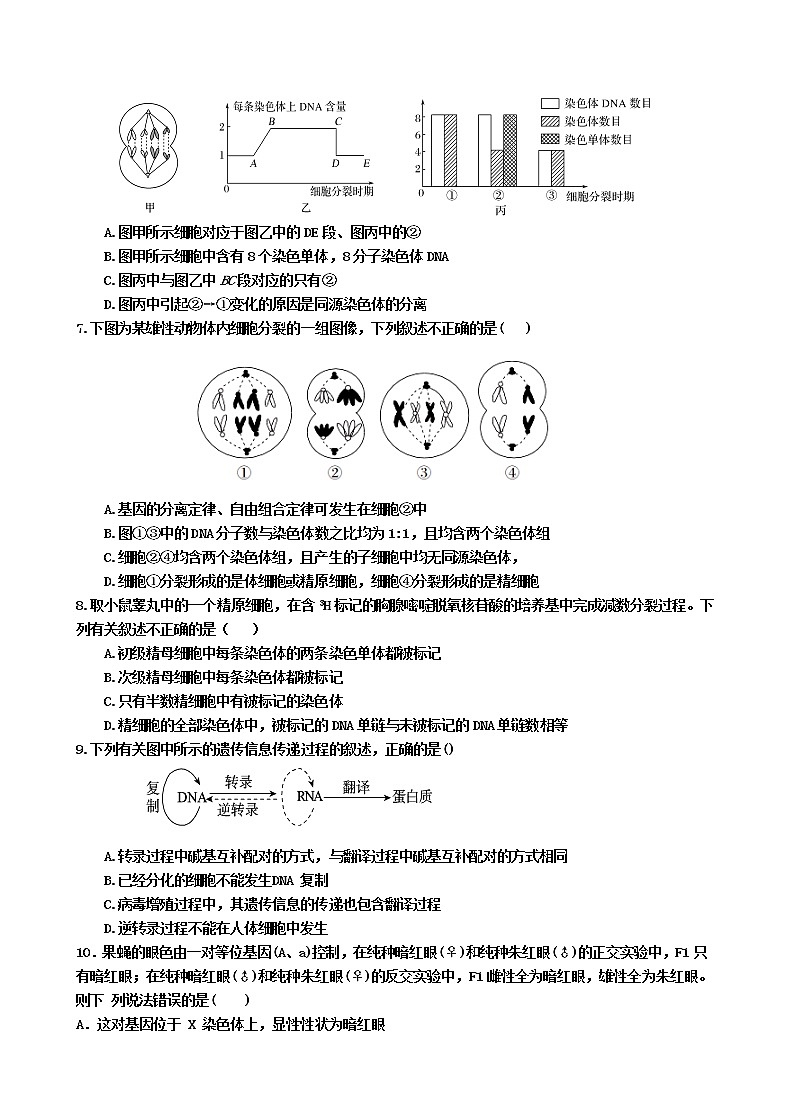 2020潍坊四中高一下学期收心考试生物试题含答案第2页
