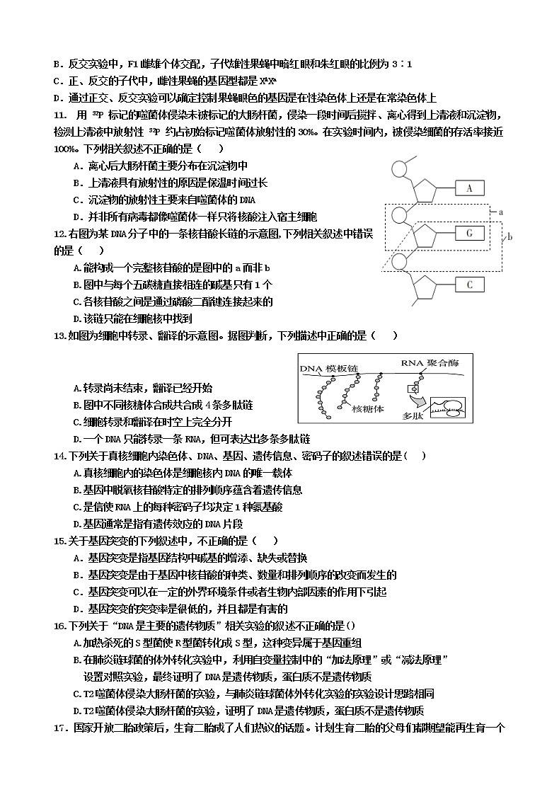 2020潍坊四中高一下学期收心考试生物试题含答案第3页