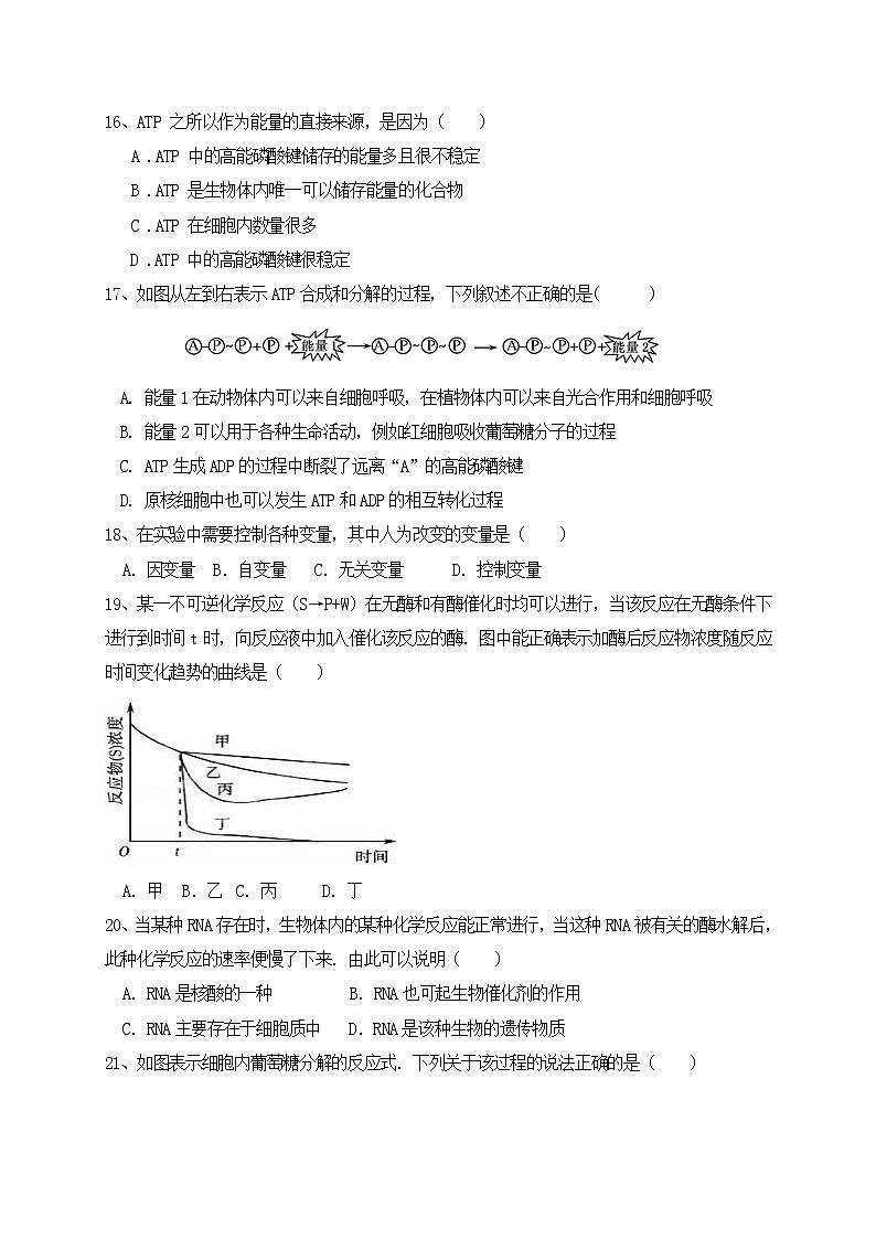 2020甘肃省会宁四中高一下学期期中考试生物试题含答案第3页