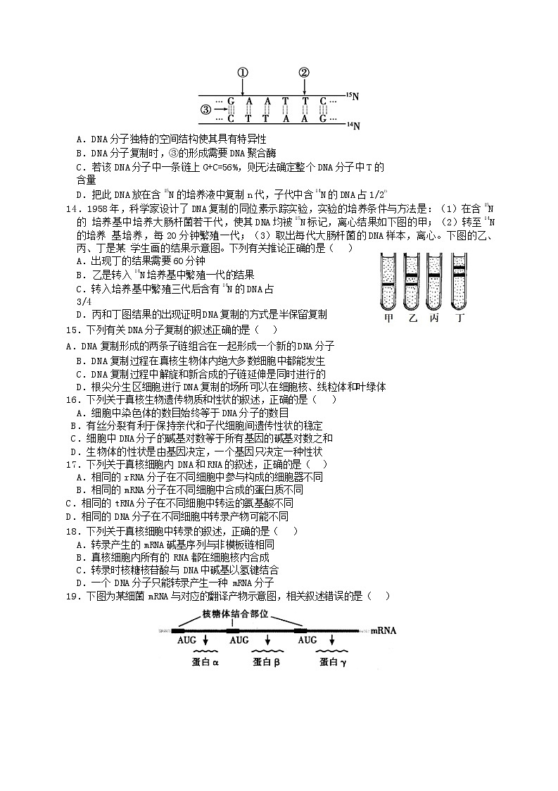 2020成都七中高一下学期半期考试生物试题含答案第3页