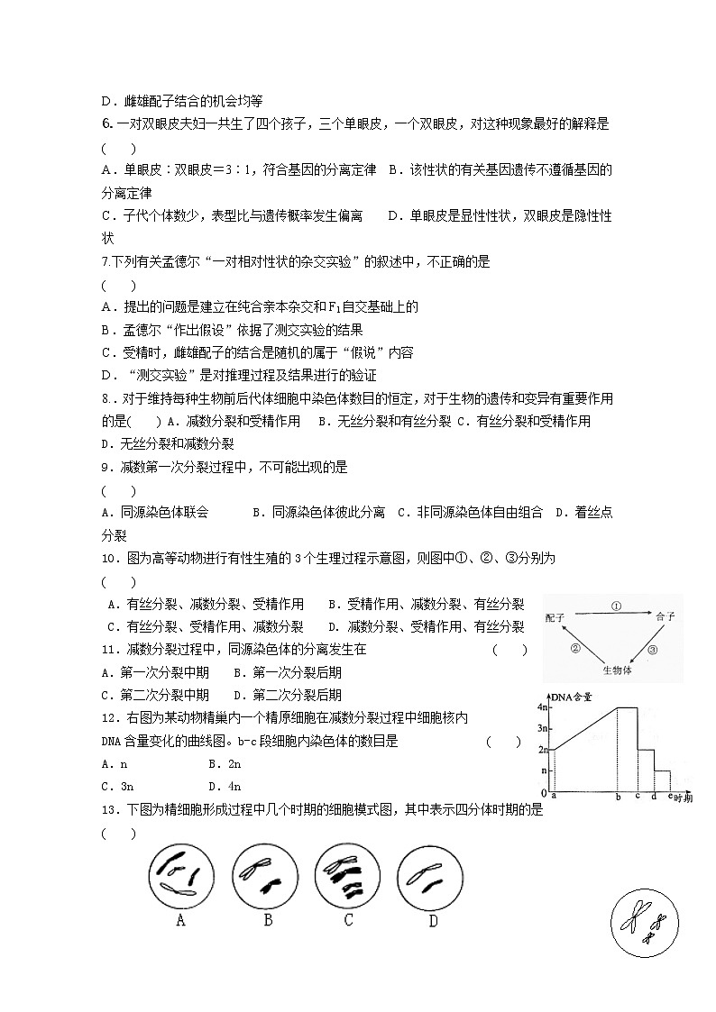 2020通化通化县综合高级中学高一下学期期中考试生物试题含答案02