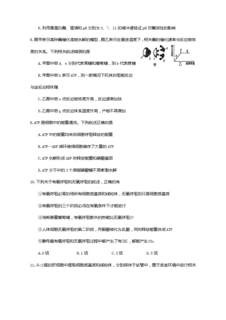 2020池州一中高一下学期期中生物试题含答案第3页