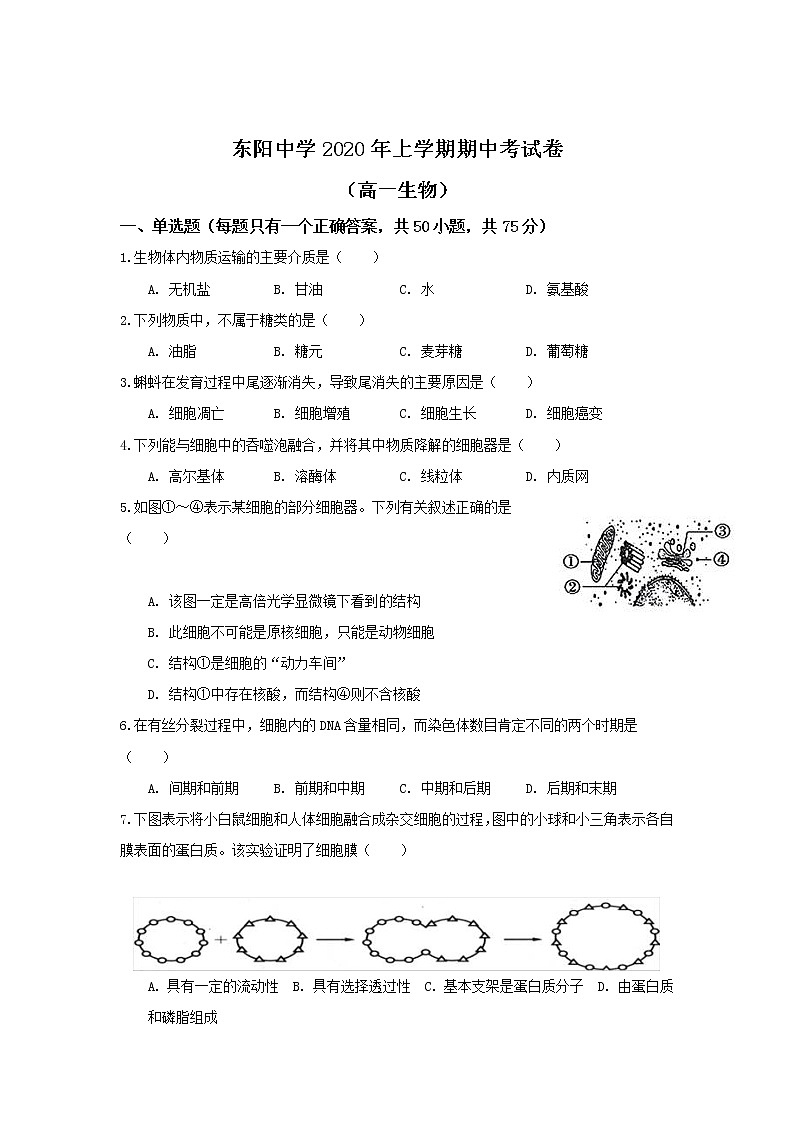 2020浙江省东阳中学高一下学期期中考试生物试题含答案第1页