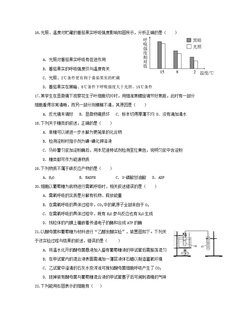 2020浙江省东阳中学高一下学期期中考试生物试题含答案第3页